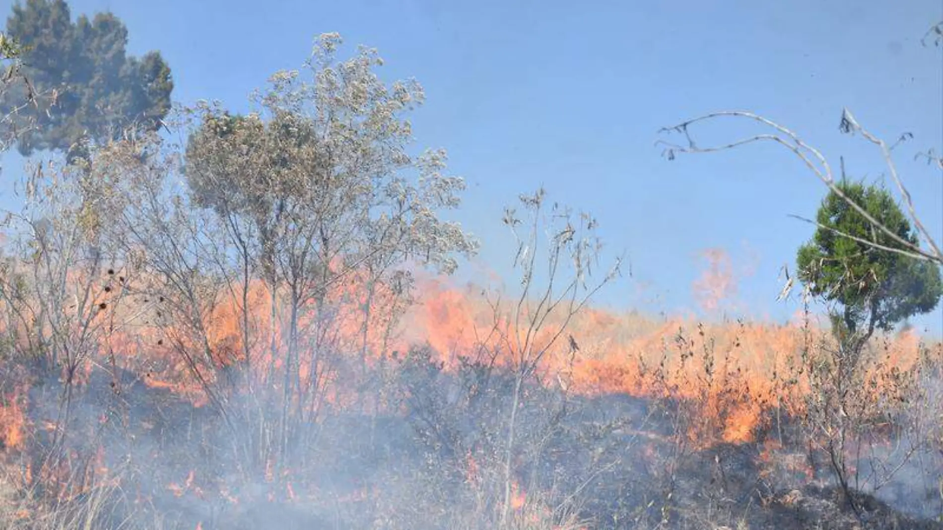 Incendios forestales (2)